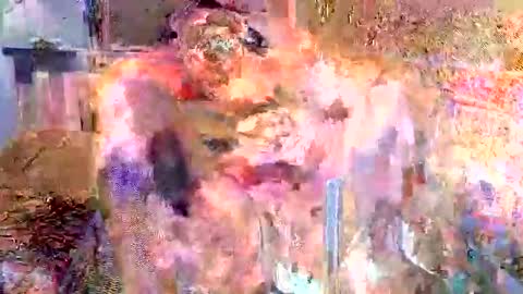 asainobedientslut12 online show from October 12, 2:15 am