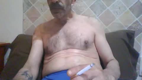 perrita online show from November 2, 12:10 am