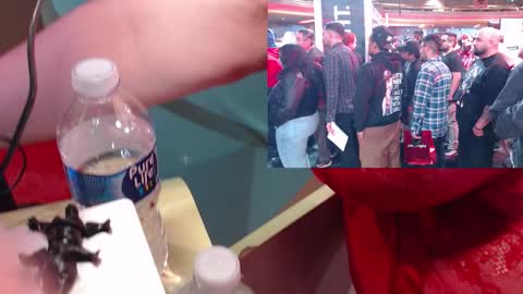 SweetAshCheeks online show from January 19, 4:11 am