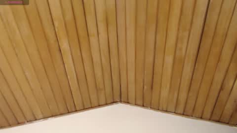 ashly_jones_ online show from November 29, 5:04 am