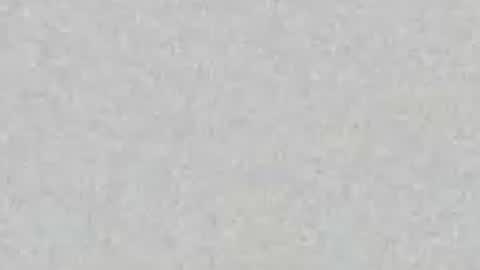 Carolina online show from April 28, 11:47 am