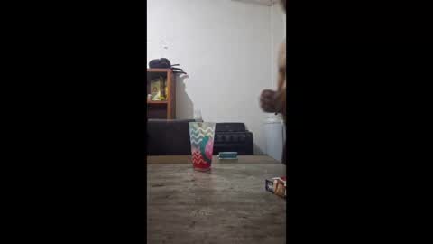 atondocesar1 online show from April 13, 9:13 am