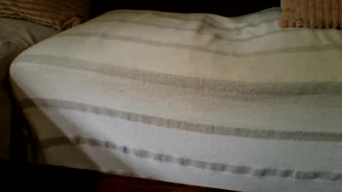 The Atypical Fit Cat online show from April 27, 11:02 pm