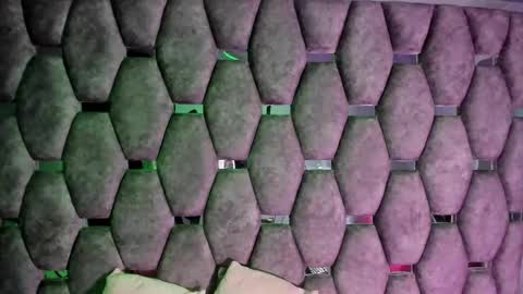 aurora online show from November 20, 4:04 pm