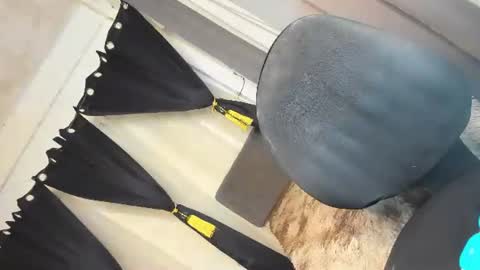 Kate online show from October 10, 4:07 am