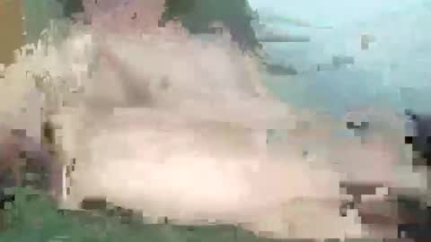 aussiecok21 online show from March 1, 10:58 pm