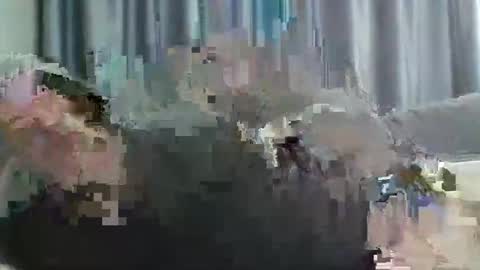 averagejoe2025 online show from December 1, 1:14 am