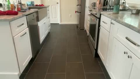 avgdiver online show from March 6, 2:16 pm