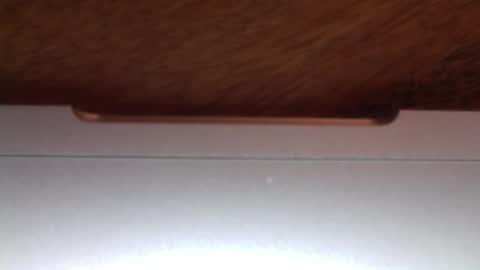 baby082023 online show from November 17, 6:27 am