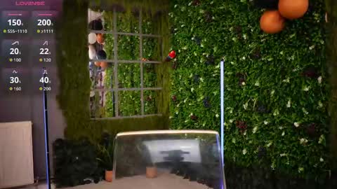 Baby Nico online show from January 11, 5:30 pm