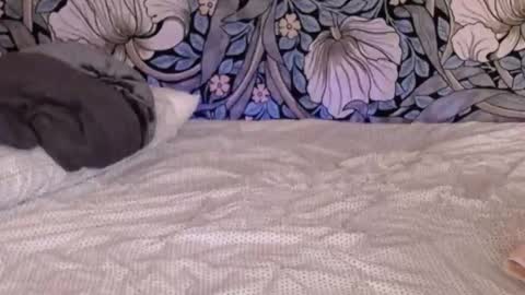 Ava online show from September 18, 2:59 am