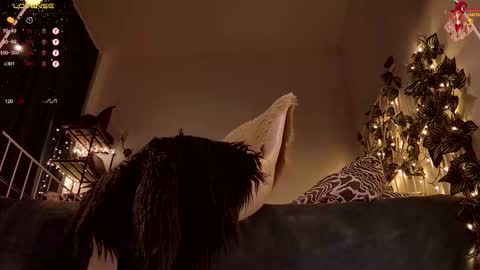 Franki online show from March 11, 7:28 pm