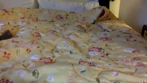 bahn92 online show from February 2, 2:47 pm