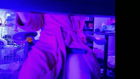 Bailey  online show from April 12, 2:15 am