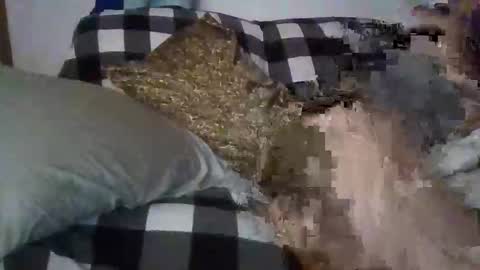 barelybehavedbarbie online show from April 8, 6:27 am