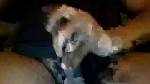 Snapshot of batthebite chatting on October 18, 8:57 pm Batthebite online show from October 18, 8:57 pm