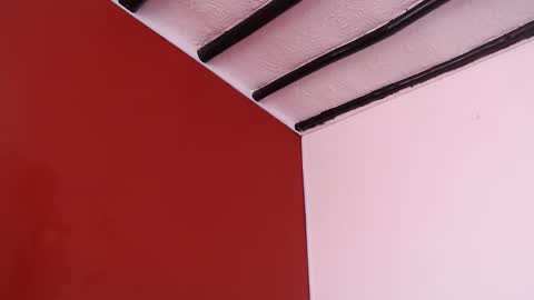 bayonette_black online show from September 10, 12:50 pm