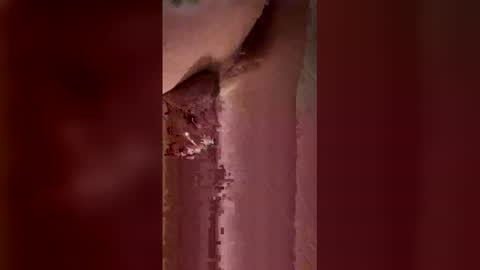 bbsasti1122 online show from April 16, 10:34 pm