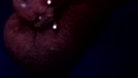 bcfalcon69 online show from May 17, 3:16 am