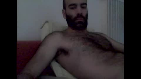 bear14250949 online show from November 1, 8:02 am