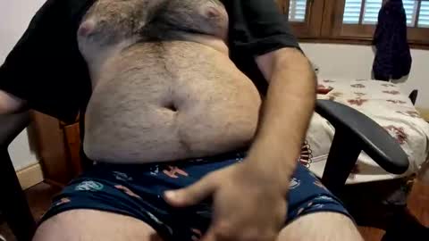 DOM bear online show from April 6, 12:39 pm