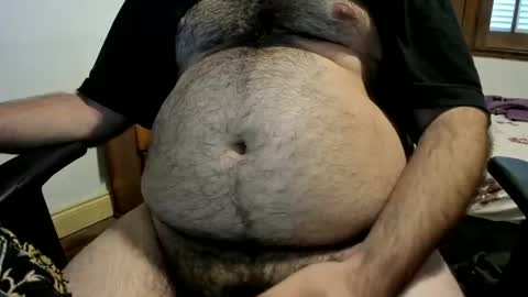 DOM bear online show from April 7, 2:19 pm