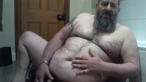 bearsteve75 online show from February 10, 2:37 pm