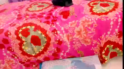 Snapshot of bellotabigtits18 chatting on September 25, 12:39 am bellota online show from September 25, 12:39 am