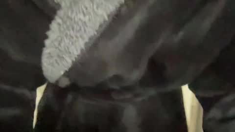 READ MY BIO ---  --- READ MY BIO online show from March 7, 3:28 pm