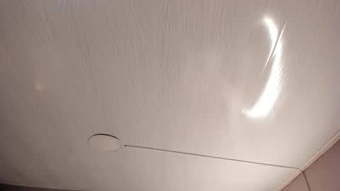   online show from September 24, 10:00 am