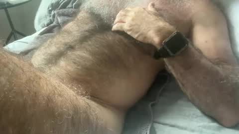 big bush online show from February 11, 12:49 am