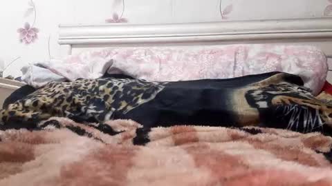 bigcock977654 online show from February 23, 1:13 am