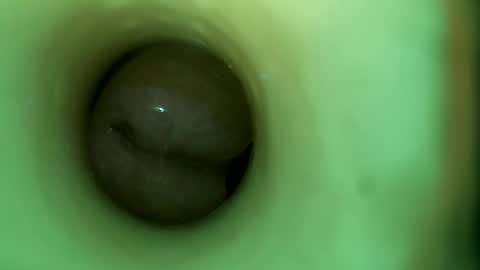 bigmoneycorey online show from April 16, 6:08 pm