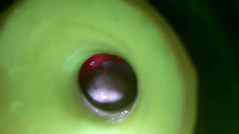 bigmoneycorey online show from April 1, 7:11 pm