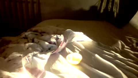 Shemale Anna online show from September 17, 5:22 am