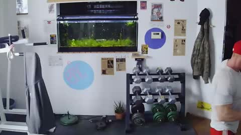 Jarvis online show from February 8, 10:19 pm