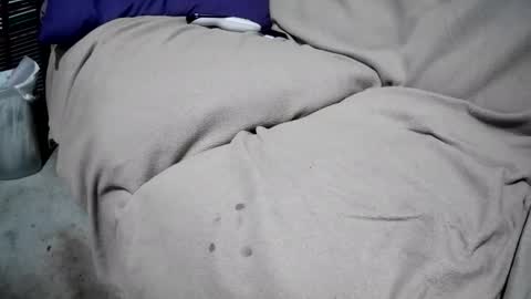 anytime300 online show from December 4, 4:01 am