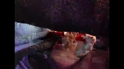 bilco03 online show from October 29, 11:56 am