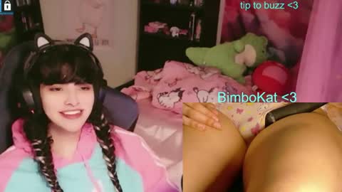 BimboCat online show from July 7, 8:24 pm