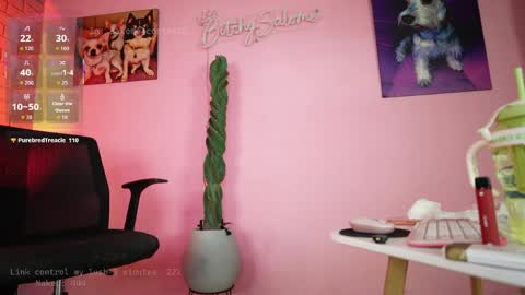 bitchysalome online show from April 19, 6:10 pm