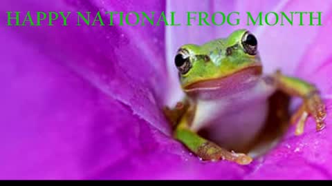 Queen Siren online show from April 1, 8:26 am