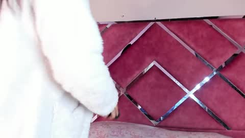 BlairWall online show from April 9, 12:44 pm