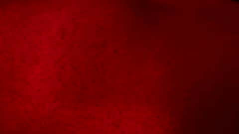 blakjayy online show from October 25, 1:11 pm