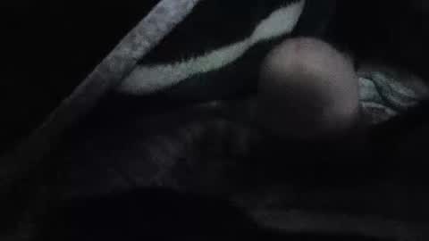blowjoe77777 online show from January 11, 8:33 am