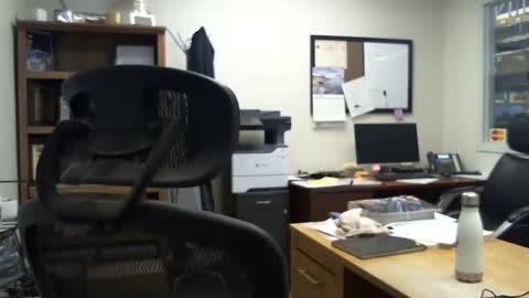 bluediamond777 online show from December 31, 7:40 pm