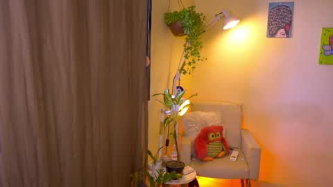 FLORAA online show from April 5, 1:08 pm