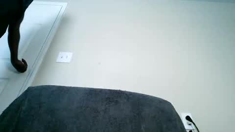 bobbiebone and company online show from March 11, 6:19 pm