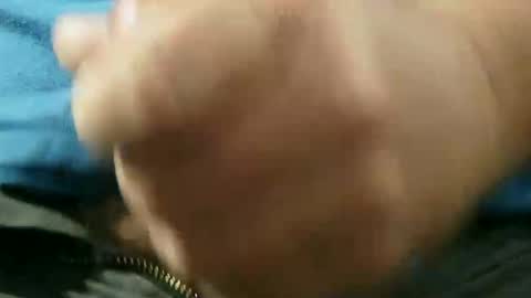 bobrossisalive online show from February 21, 8:01 pm