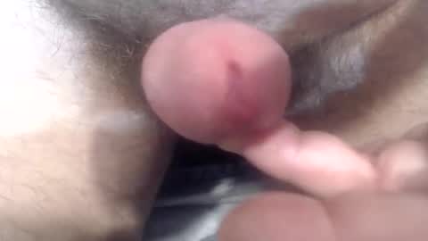 bobswan online show from October 24, 3:46 pm