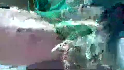 bogey58 online show from February 12, 4:11 pm